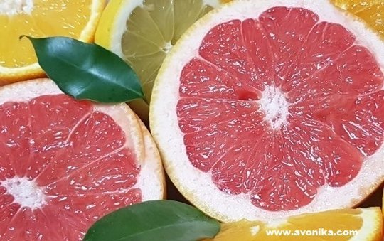 Parfum hespéridé fruité - IVONIKA