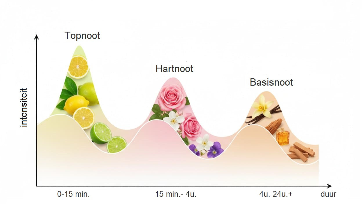Evolutie van een geur